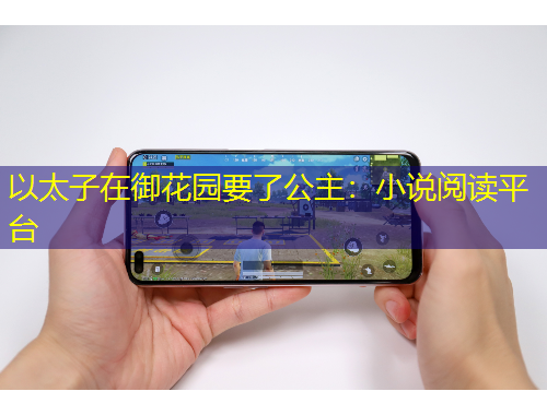 以太子在御花園要了公主:小說閱讀平臺