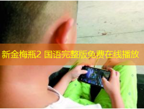 新金梅瓶2 國語完整版免費在線播放